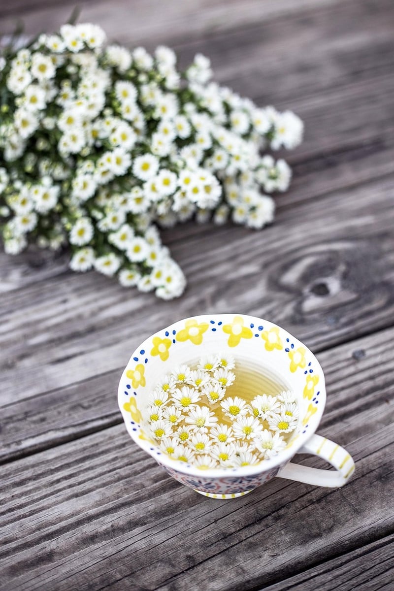 Chamomile