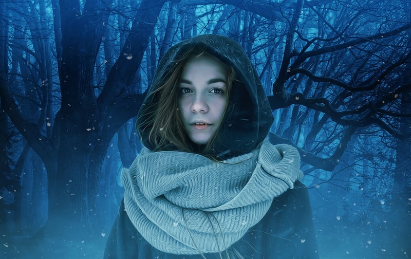 Enchanted Forest